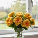 Роза английская долгоцветущая Бринг Ми Саншайн № 3