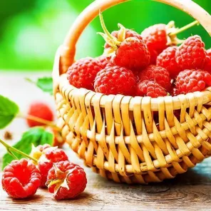 Малина ремонтантная июньская Прималба