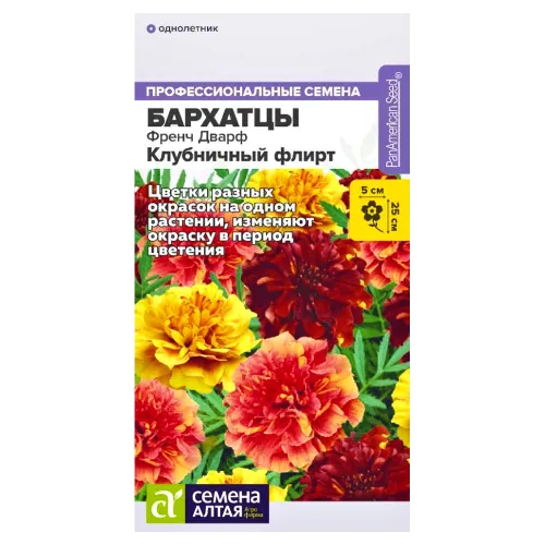 Бархатцы карликовые Френч Дварф Клубничный флирт Семена Алтая