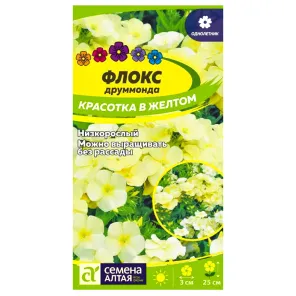 Флокс Друммонда Красотка в желтом Семена Алтая