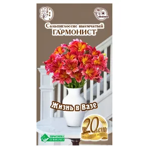 Сальпиглоссис Гармонист Евросемена