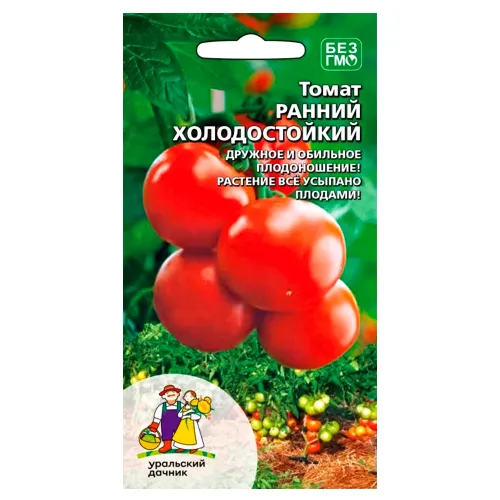 Томат Ранний холодостойкий Уральский дачник