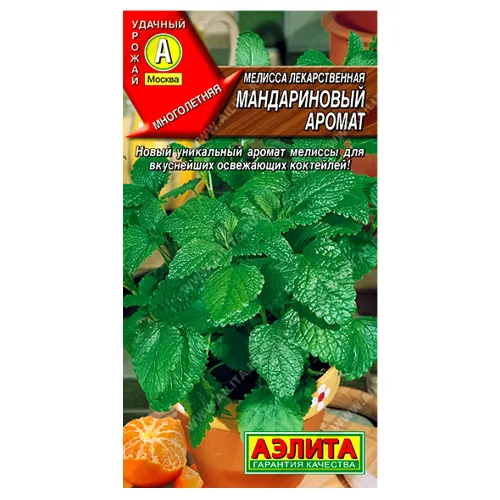Мелисса Мандариновый аромат Аэлита