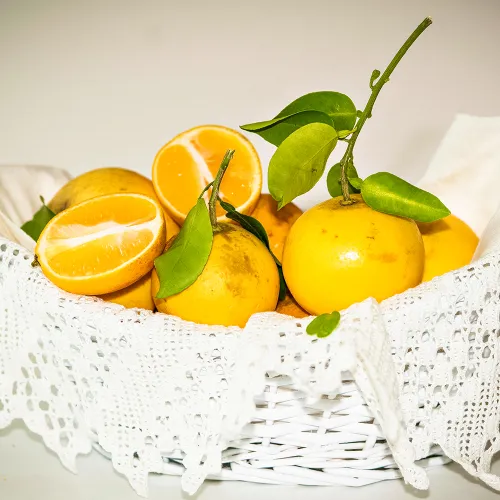 Лимон комнатный (гибрид с апельсином) Мейера