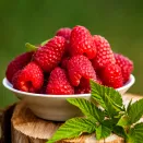 Малина крупноплодная Гусарская доблесть № 1