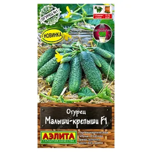 Огурец Малыши-крепыши F1 Аэлита