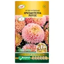 Астра китайская Хризантелла Лотос Евросемена № 1