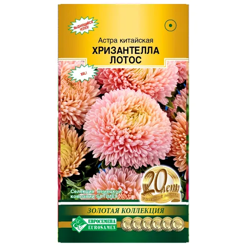 Астра китайская Хризантелла Лотос Евросемена