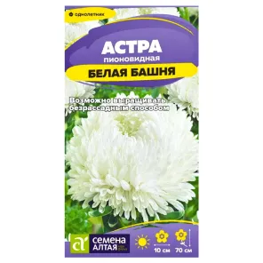 Астра пионовидная Белая башня Семена Алтая