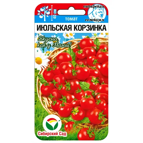 Томат Июльская корзинка Сибирский сад