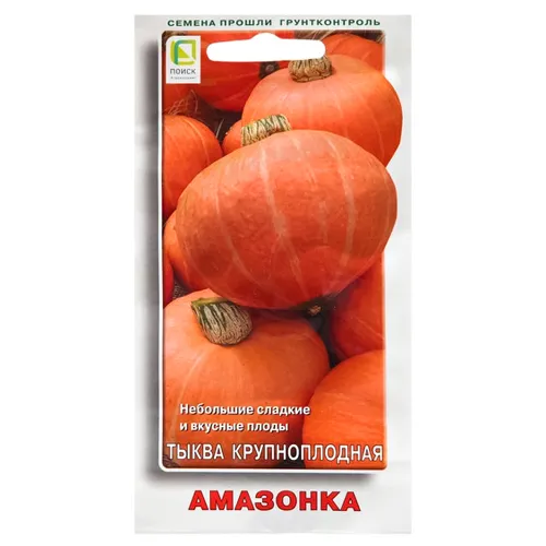 Тыква Амазонка Поиск