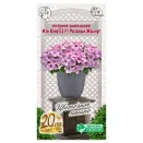 Петуния ампельная Изи Вэйв E3 Розовый жемчуг F1 Евросемена № 1