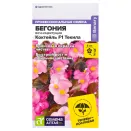 Бегония вечноцветущая Коктейль Текила F1 Семена Алтая № 1