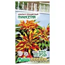Амарант Пуансетия Евросемена № 1