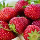 Земляника ремонтантная (крупноплодная) изысканного вкуса Амандин, 5 саж. № 1