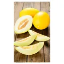 Дыня Уральский скороспел Уральский дачник № 3