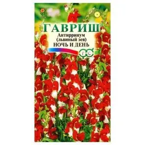 Антирринум Ночь и день Гавриш