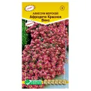 Алиссум морской Афродита Красное вино Евросемена № 1