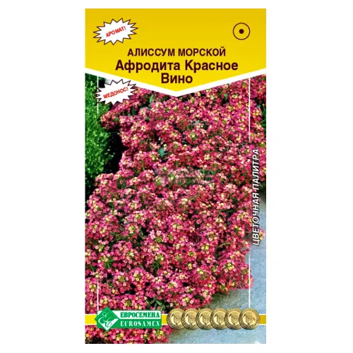 Алиссум морской Афродита Красное вино Евросемена