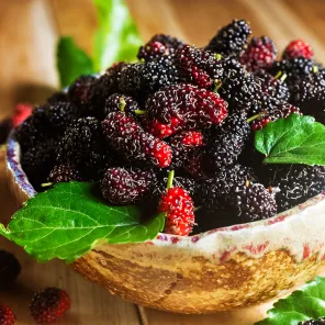 Шелковица морозостойкая самоплодная Владимирская