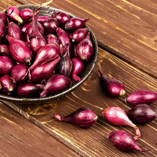 Лук-севок Кармен