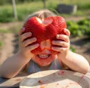 Земляника крупноплодная Камрад Победитель, 5 саж. № 1