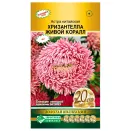 Астра китайская Хризантелла Живой коралл Евросемена № 1