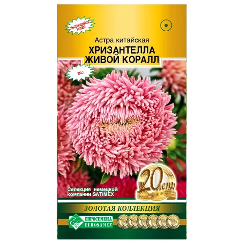 Астра китайская Хризантелла Живой коралл Евросемена