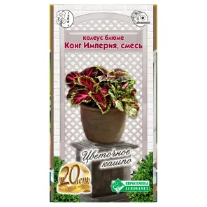 Колеус Блюме Конг Империя, cмесь сортов Евросемена