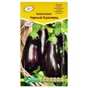 Баклажан Черный красавец Евросемена