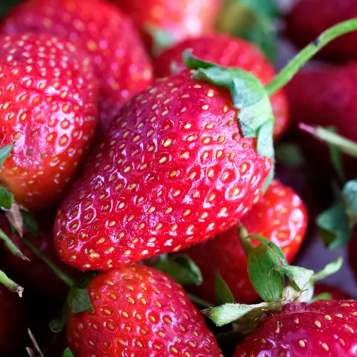 Земляника крупноплодная с ароматом малины Элоди, 5 саж.