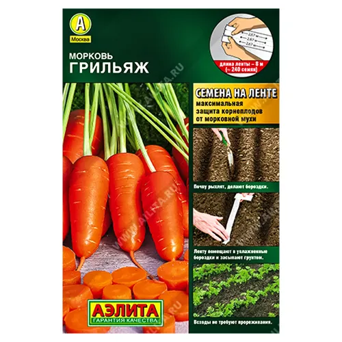 Морковь Грильяж, на ленте Аэлита