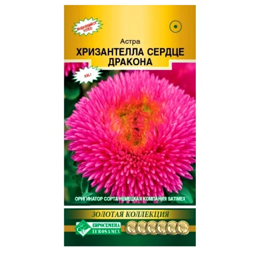 Астра китайская Хризантелла Сердце дракона Евросемена