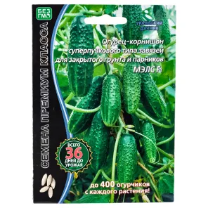 Огурец суперпучкового типа Мэлс F1 Уральский дачник