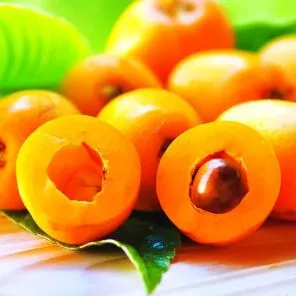 Мушмула для средней полосы Морозко