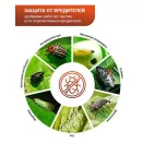 БИО-комплекс Экстракт хвои, иммуностимулятор, защита от насекомых 0,25 л № 4