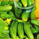 Огурец корнишон Баночный F1 Седек № 2