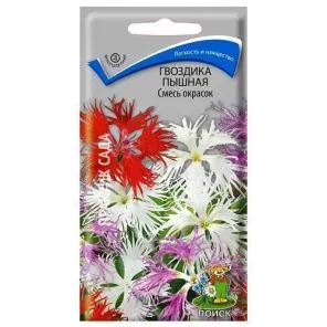 Гвоздика пышная, смесь окрасок Поиск