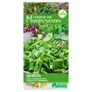 Микрозелень Щавель Евросемена № 1