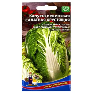 Капуста пекинская Салатная хрустящая Уральский дачник