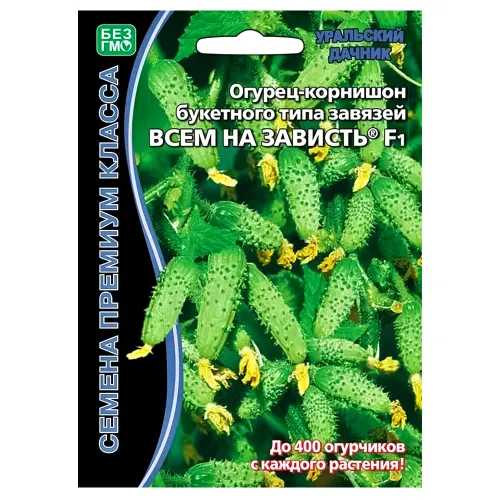 Огурец суперпучкового типа Всем на зависть F1 Уральский дачник