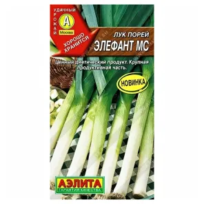 Лук порей Элефант МС Аэлита