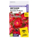 Бегония вечноцветущая Коктейль Водка F1 Семена Алтая № 1