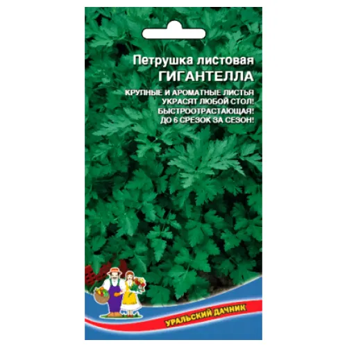 Петрушка листовая Гигантелла Уральский дачник