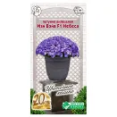 Петуния ампельная Изи Вэйв E3 Небеса F1 Евросемена № 1