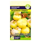 Физалис Медовая сливка Семена Алтая № 1
