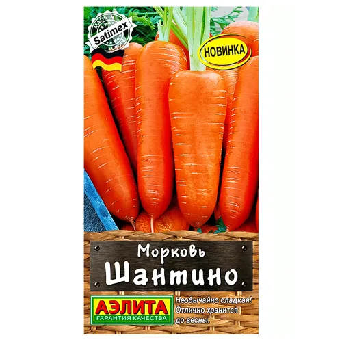 Морковь Шантино Аэлита