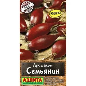 Лук шалот Семьянин Аэлита