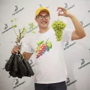 Виноград со вкусом тропических фруктов Прейри Стар № 2