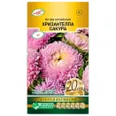 Астра китайская Хризантелла Сакура Евросемена № 1